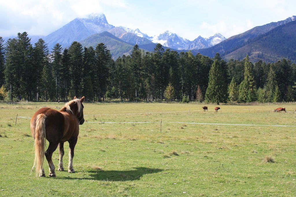 Penzion Koliba Vysoke Tatry Exterior photo